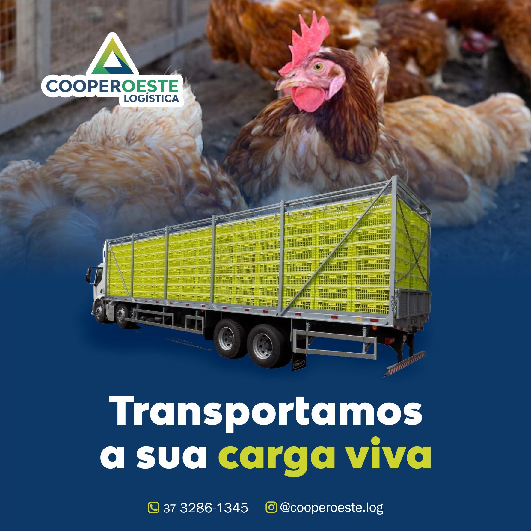 Transportamos sua carga viva